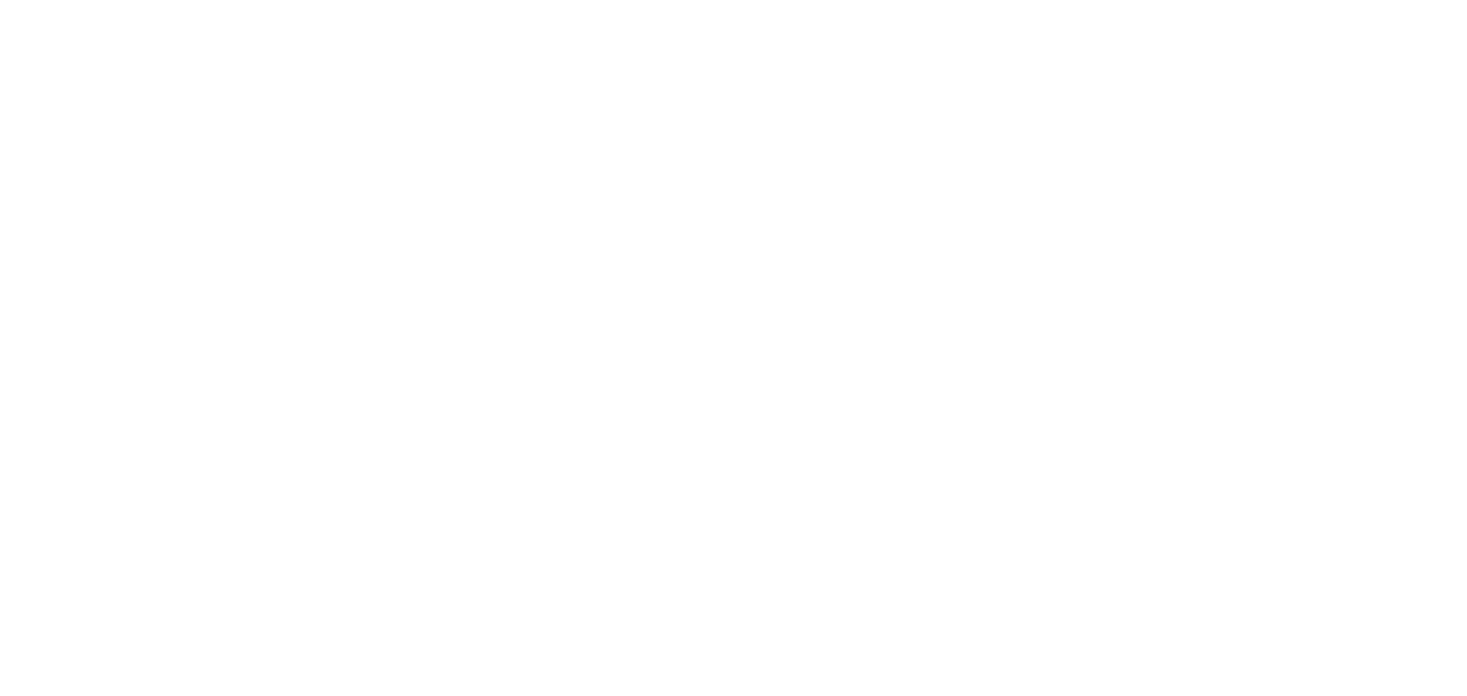 Etsy-logo white