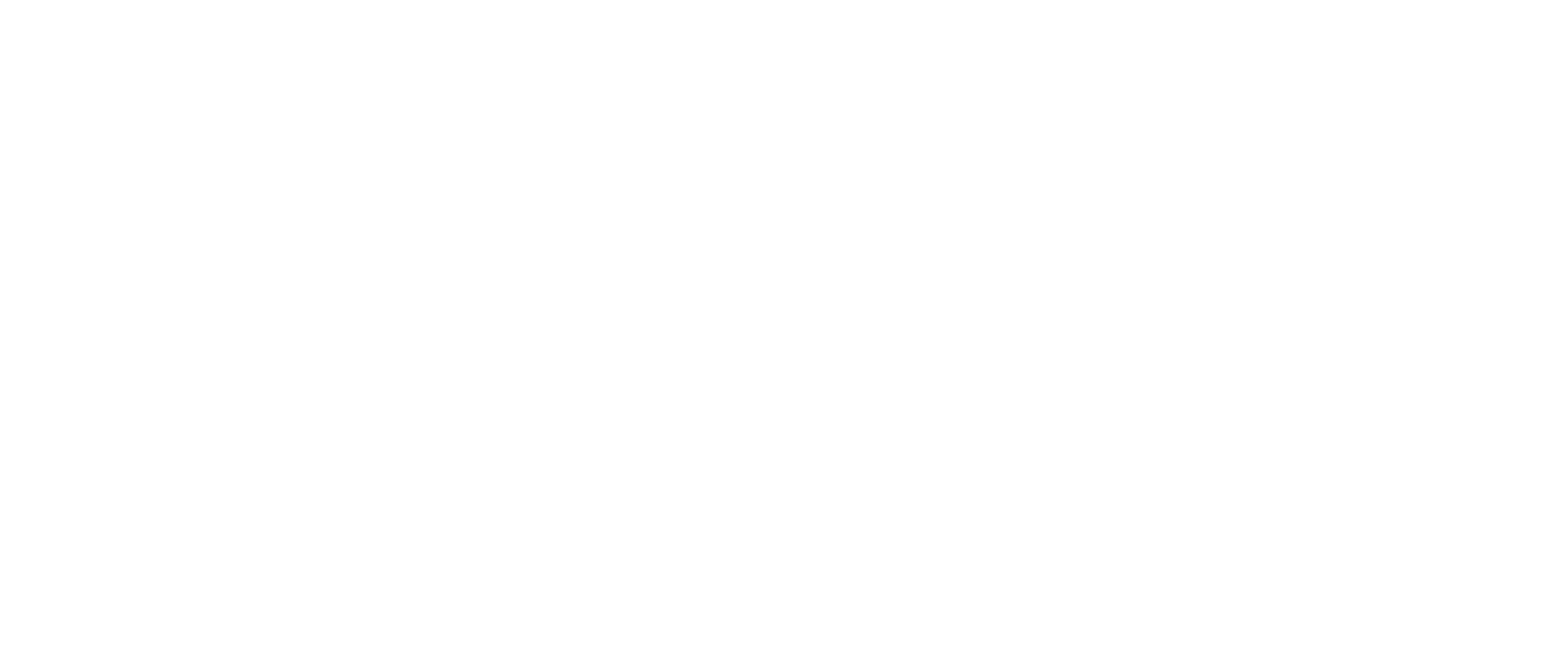 Levis-logo white